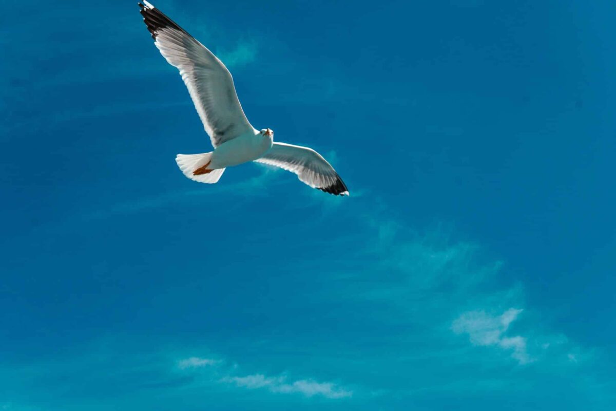 pexels-mertkahveci-8011539